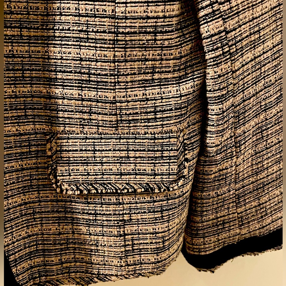 Blazer! - Picture 5 of 5